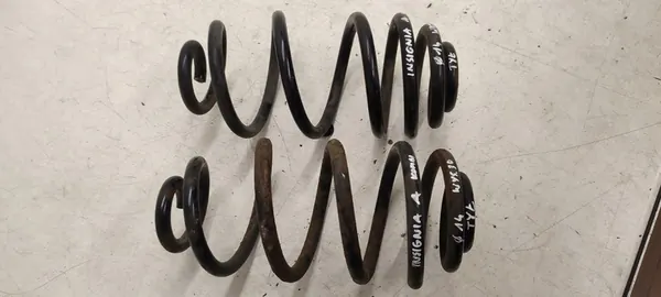 Molla posteriore Opel Insignia A 2.0 CDTI image 4