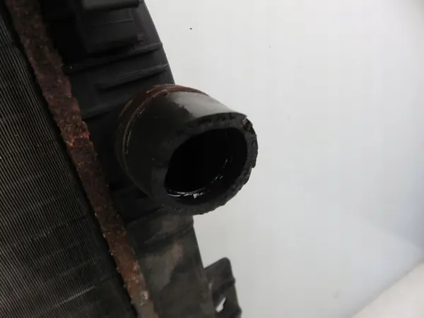 Radiador de agua Renault Scenic II 1.6 16V 8200115541D image 4