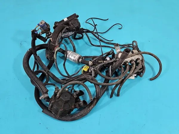 Instalación LPG STAG 4 QBOX BASIC Fiat Panda II image 1