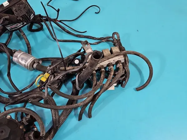 Instalación LPG STAG 4 QBOX BASIC Fiat Panda II image 2