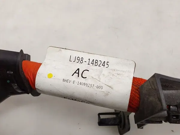 Bedrading Ford Mustang Mach-E image 5