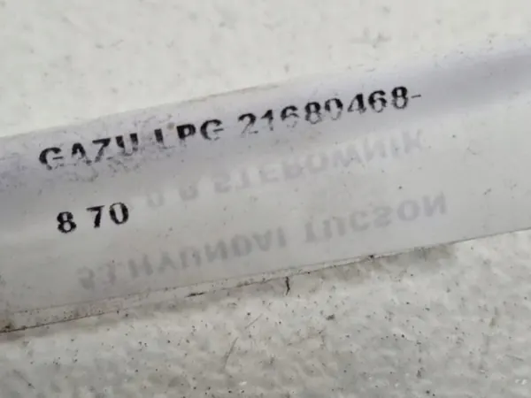 Module LPG OEM 21680468-8 pour Hyundai Tucson I 2.0 image 9
