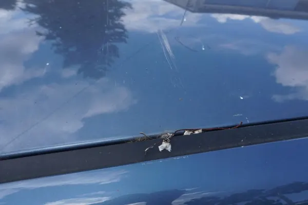 Subaru Levorg kattopäällyste OEM 546676683232 image 5