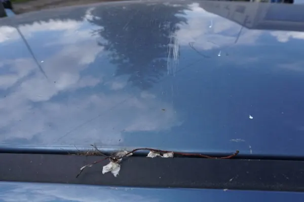 Subaru Levorg kattopäällyste OEM 546676683232 image 6