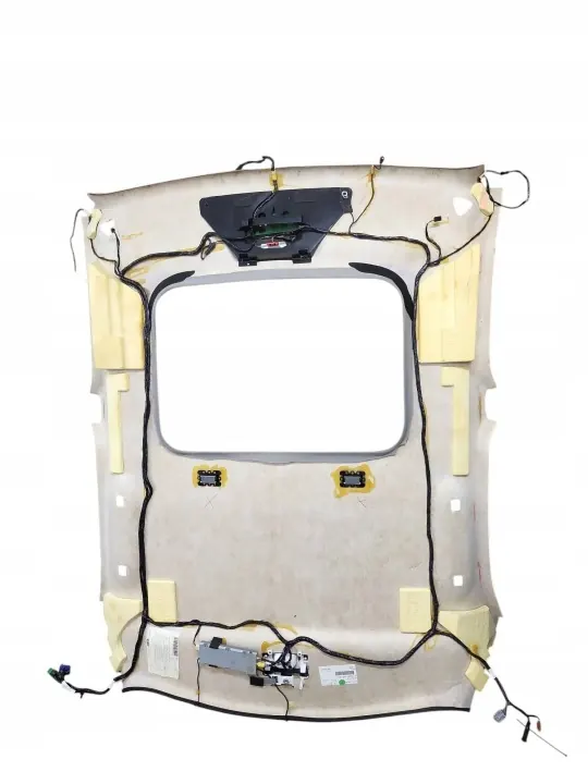 Ciel de toit Cadillac CTS d'occasion OEM 10410095 image 5