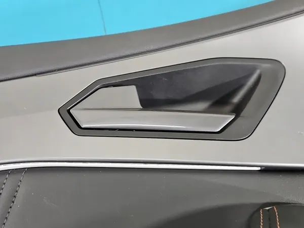 OEM IMPRK1546291 Cupra Deurbekleding Voor Links image 3