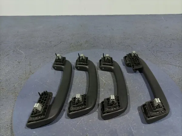 BMW X7 G07 Dachgriffe Set OEM Lochow-325125- image 4