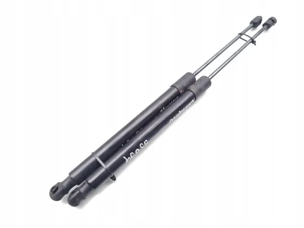 OEM 39197491 Heckklappendämpfer für Citroen C3 Aircross image 2