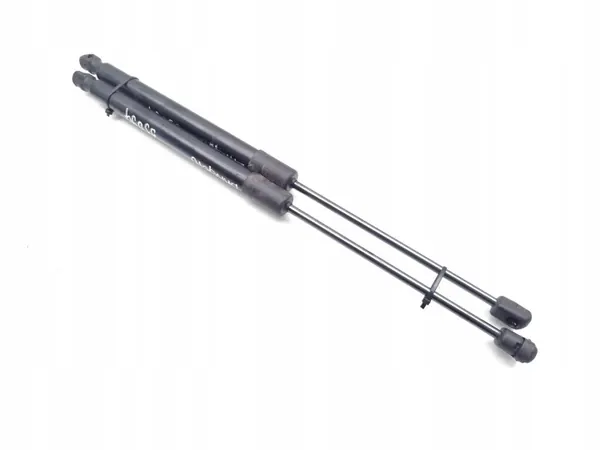 OEM 39197491 Heckklappendämpfer für Citroen C3 Aircross image 10