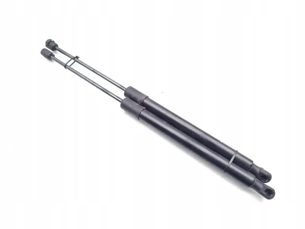OEM 39197491 Heckklappendämpfer für Citroen C3 Aircross image 4