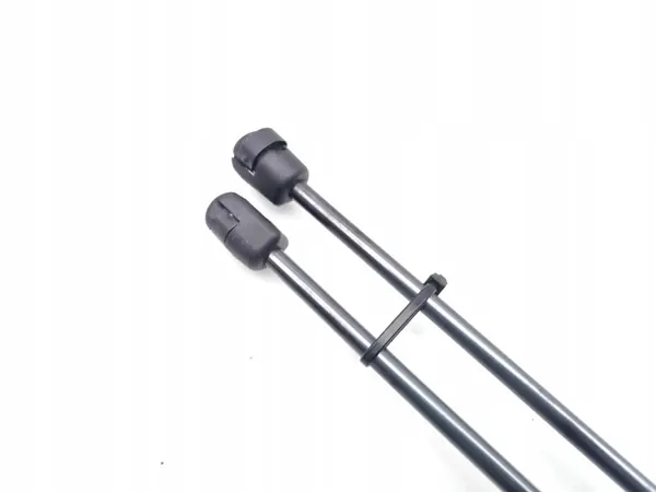 OEM 39197491 Heckklappendämpfer für Citroen C3 Aircross image 5