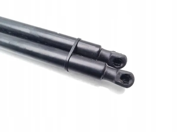 OEM 39197491 Heckklappendämpfer für Citroen C3 Aircross image 6