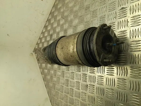Amortisseur à air avant gauche Tesla MODEL X 2016 OEM 1027361-25-E image 1