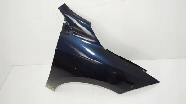 Aile avant droite OEM 360202383 pour Renault Megane III image 3