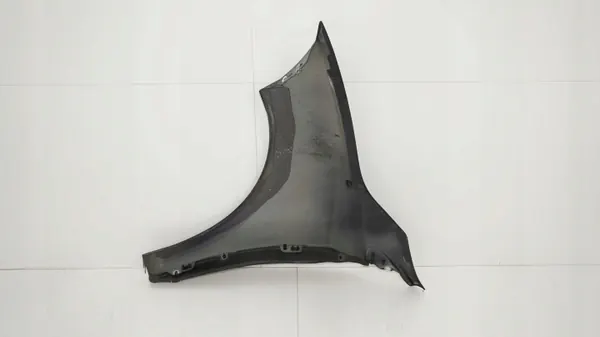 Aile avant droite OEM 360202383 pour Renault Megane III image 9