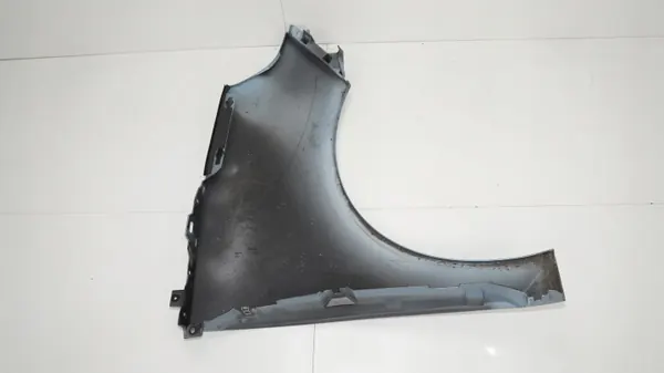 Para-lama dianteiro esquerdo OEM 360202419 Renault Grand Scenic image 8