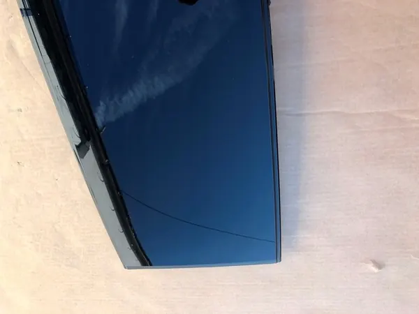 Pannello vetro tetto posteriore TESLA X 112500900B image 9