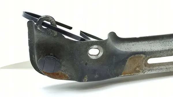 Couvercle de lampe côté gauche Lexus LS 430 image 10