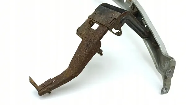 Couvercle de lampe côté gauche Lexus LS 430 image 6