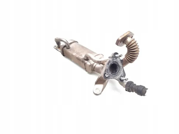 Nissan EGR-koeler OEM 147350364R voor Juke 1.5 dCi image 3