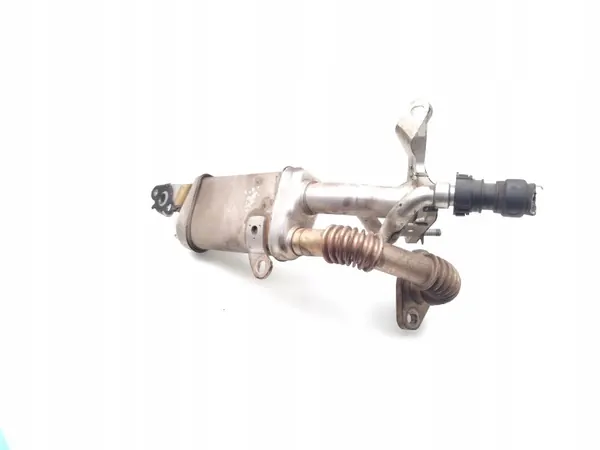 Nissan EGR-koeler OEM 147350364R voor Juke 1.5 dCi image 4