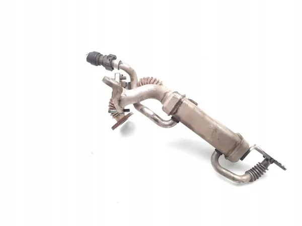 Nissan EGR-koeler OEM 147350364R voor Juke 1.5 dCi image 6
