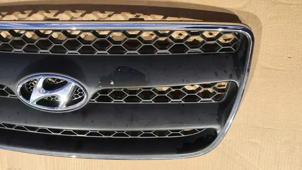 Front Bumper Grill Hyundai Santa Fe II 06-10 image 2
