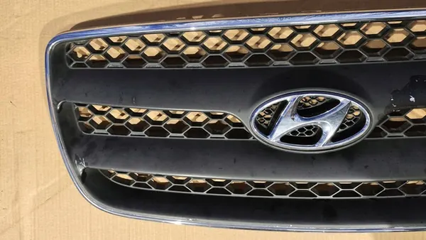 Front Bumper Grill Hyundai Santa Fe II 06-10 image 3