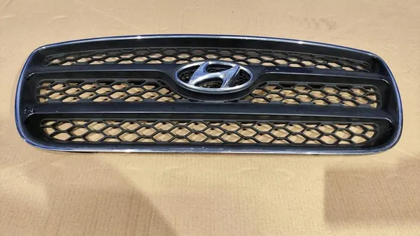 Front Bumper Grill Hyundai Santa Fe II 06-10 image 4