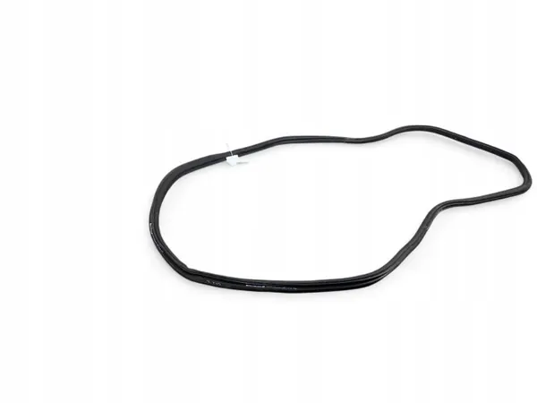 Junta de maletero OEM 7397317 para BMW X3 G01/IX3 image 3