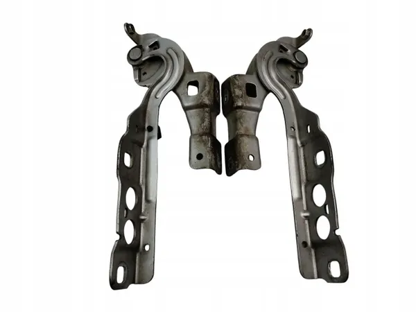 OEM 9687536680 9687515780 Paire de Charnières Capot Citroen C4 II image 3