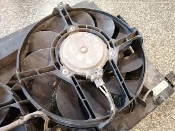 Opel OE 870732G voorste riem voor Vectra C Estate 2.2L image 5