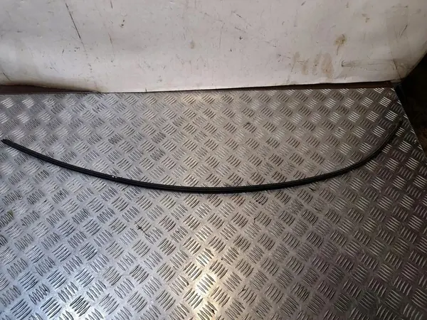 Joint de fenêtre avant BMW X5 E70 7157681 image 2