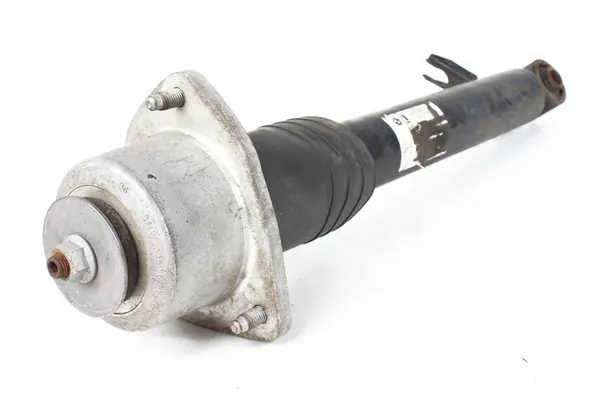 Amortizzatore posteriore sinistro BMW E71 X6 6783017 image 2