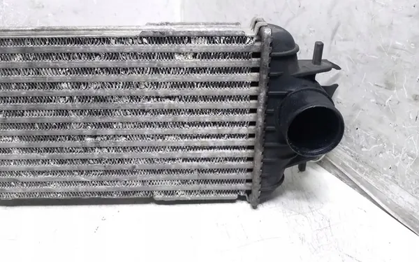 Radiador Intercooler RENAULT TRAFIC II 1.9L diesel 868926QH image 3