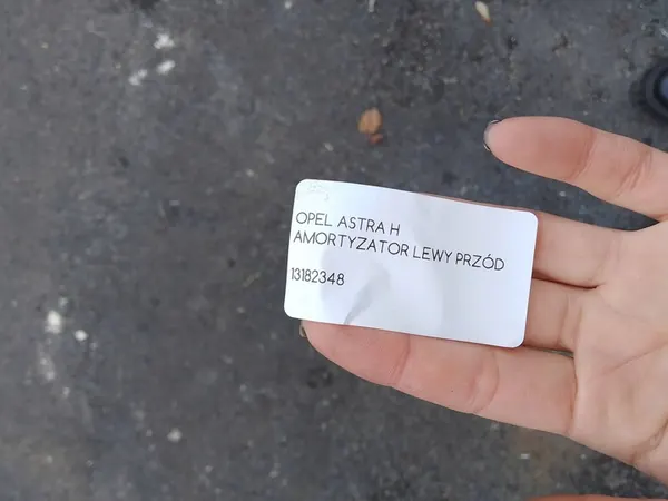 Ammortizzatore anteriore sinistro OPEL ASTRA H 13182348 image 9