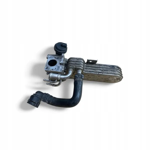 AUDI A3 8P A4 B6 SEAT LEON OCTAVIA VW 1.9 TDI Pakokaasujäähdytin 038131513AD image 6