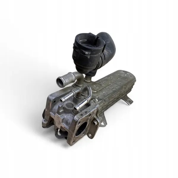 AUDI A3 8P A4 B6 SEAT LEON OCTAVIA VW 1.9 TDI Pakokaasujäähdytin 038131513AD image 7