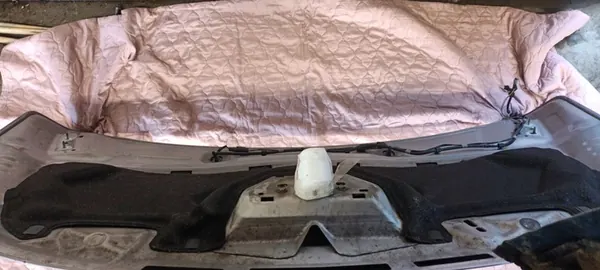 Capô dianteiro Ford C-Max MK2, usado, OEM image 10