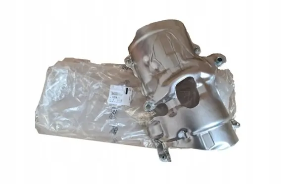 Protetor de Coletor Citroen C2/C3/C4 OE 1723AX image 4
