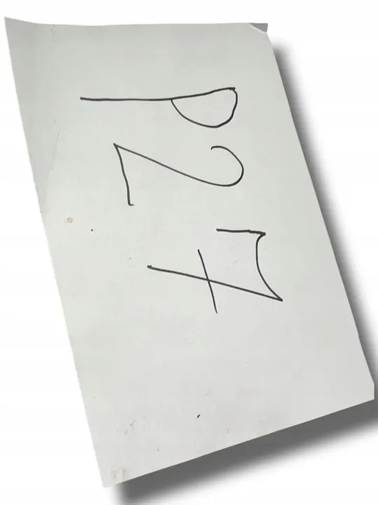 RENAULT TALISMAN 15 Protetor de Para-choque Dianteiro 622357094R image 4