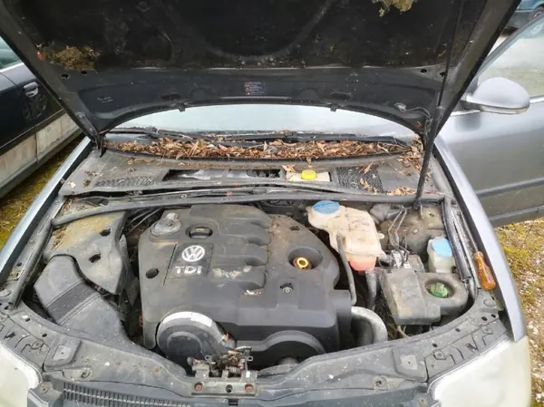 Auspuffkrümmer OEM 038253033E für VW Passat 1.9L image 8