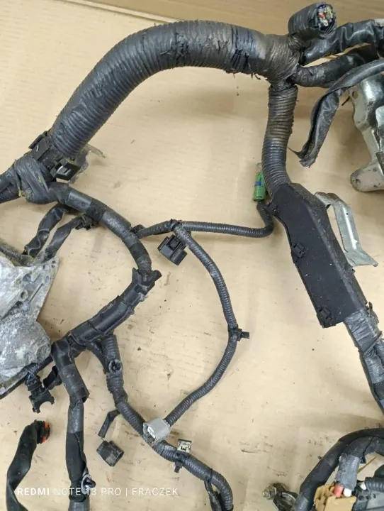 Moottorin Johdotus OEM A180206103A Nissan Qashqai image 3