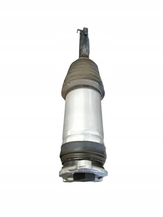 Mola de ar Tesla OEM 142046100D - Esquerda traseira image 5