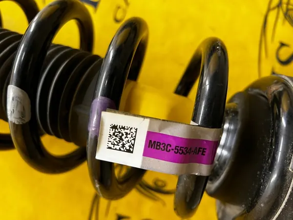 Ammortizzatori Bilstein Posteriori Ford Bronco 21- OEM image 4