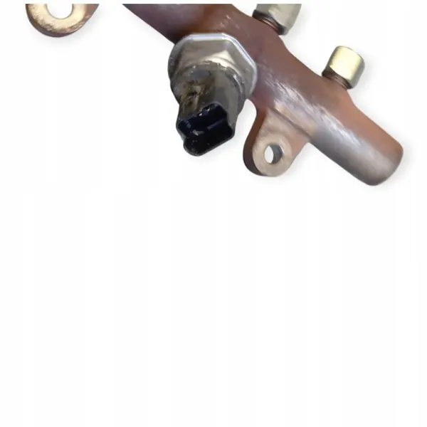 Brandstofrail RENAULT MEGANE III H8200701690 image 2