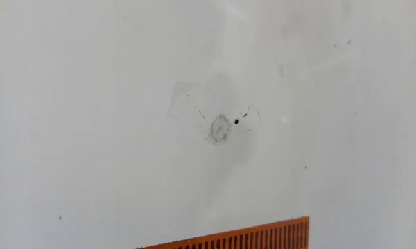 Parabrisas OEM 4457AGNCIMOV para KIA CEED 2018- image 4