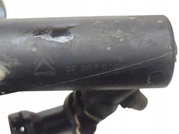 Rempomp Citroen C5 9685782680 image 5