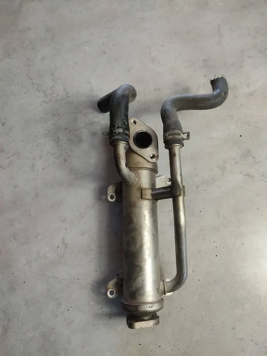 EGR-jäähdytin Seat Alhambra (Mk1) 03G131513L image 3