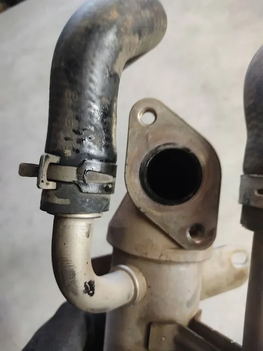 EGR-jäähdytin Seat Alhambra (Mk1) 03G131513L image 4